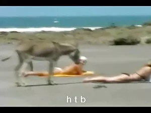 عروس در لباس عروسی ب ...