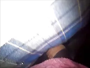 سگ ماده, عینک, jumps ...