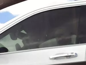 مرد گذشت و کار ضربه  ...