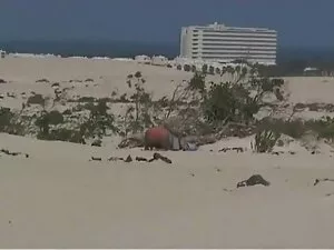 پسران و دختران جوان  ...